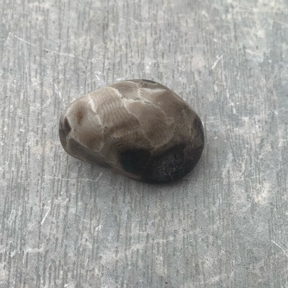 Petoskey stone - Picture 6 of 6